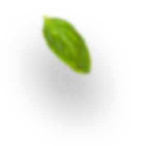 Makhana
