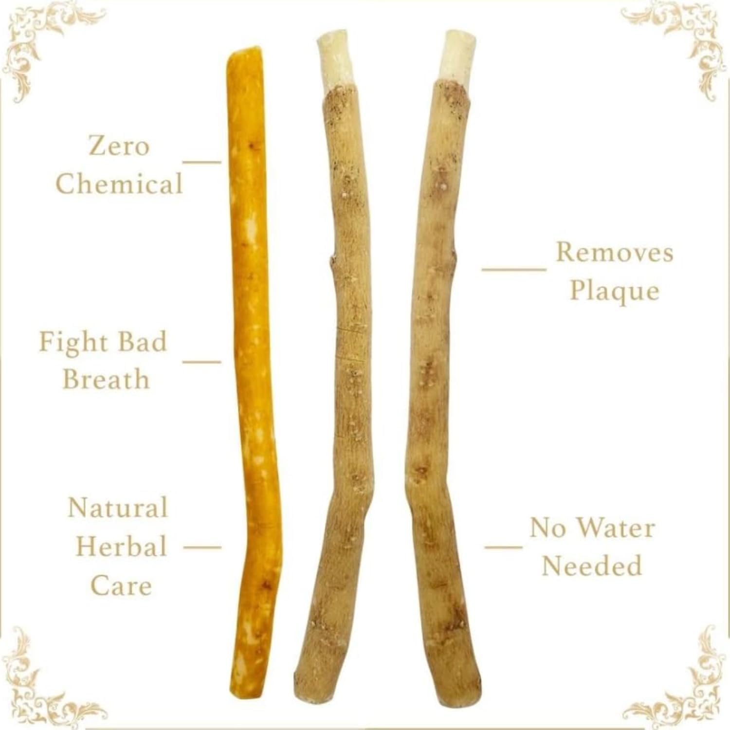 Miswak Natural Herbal Toothbrush 3 Miswak Natural Herbal Toothbrush - Image 3
